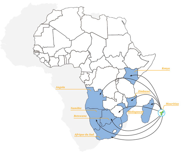 Target-Africa-by-MSI-–-Afrique-terres-d’opportunités